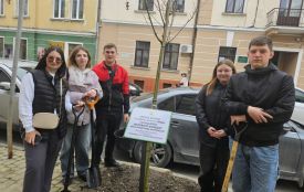 Садять дерева з табличками на підтримку ЗСУ. Ціна різна, а розрахунків у міськраді… немає