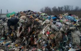 Майже 5 млн гривень за шкоду довкіллю примусово сплатила селищна ради на Тернопільщині