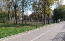 Виконком має повторно розглянути петицію щодо заборони забудови території біля ставу — рішення суду