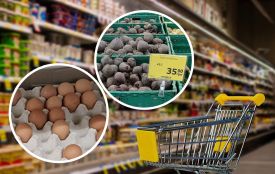 Де дешевше купувати продукти у Тернополі: порівняли чотири мережі супермаркетів