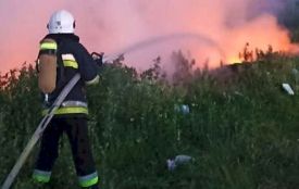 Гектари випаленої землі: рятувальники Тернопільщини закликають не палити траву