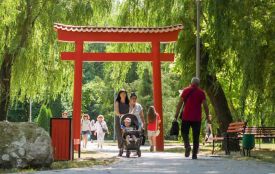 Терапевтичний сад відкрили в парку «Сопільче»