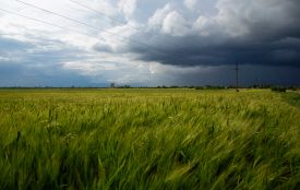 Штормове попередження на Тернопільщині: 7—8 липня грози, град та шквали