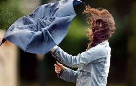 Зірвало дах і падають дерева: сильний вітер на Тернопільщині накоїв лиха