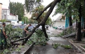 Третю ніч поспіль на Тернопільщині негода залишає десятки сіл без світла