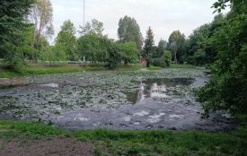 У Тернополі набирають працівників для роботи в міських парках