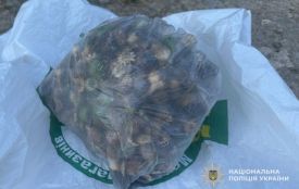 Поліцейські затримали чортків'янина з пакетом макових головок