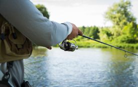 Коли риба клюватиме найкраще? Календар риболовлі на серпень 2025