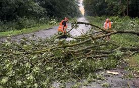 Наслідки негоди: електрику відновили у більшості населених пунктів Тернопільщини