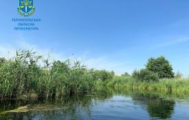 Гідроспоруди в Буцневі та Мишковичах без документів: прокуратура подала позов на громаду