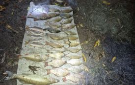Незаконний вилов риби на 55 тисяч виявили на Тернопільщині