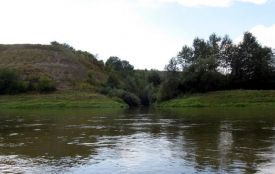 У річці в Чортківському районі знайшли потопельника