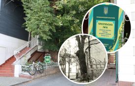 Пережила чуму, війни та окупації: яка історія тернопільської липи. Дивіться відео