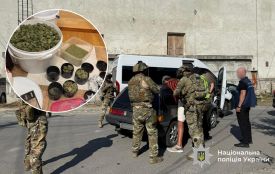 Операція «Джентельмен»: плантації коноплі та кілограми наркотиків на мільйон знайшли на Тернопільщині