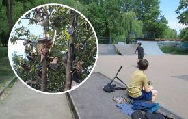 Чому дерево у «Сопільче» обвішане старим взуттям: дивіться відео!