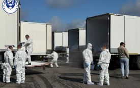 «На щиті»: ще 1000 тіл українських захисників повернули додому