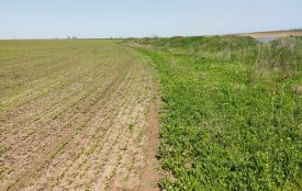 На Тернопільщині виявили до 40% необлікованих земель: ОВА закликає громади провести інвентаризацію