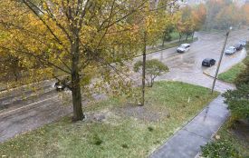 Заморозки прогнозують на Тернопільщині у найближчі дні