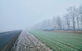 На Тернопільщині прогнозують туман і заморозки