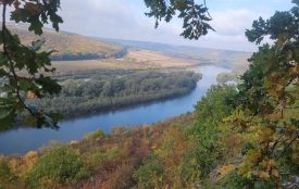 Неймовірна осінь на схилах Дністра: дивіться фото