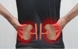 Рослинні засоби, що підтримують роботу нирок (на правах реклами)