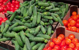 В Україні змінились ціни на огірки та помідори