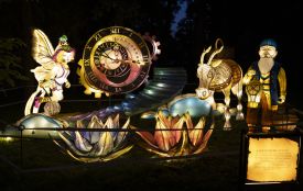 Соціальний день у Парку ліхтарів у Тернополі: хто може прийти безкоштовно (соціальна реклама)