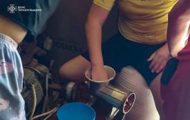 Рука застрягла в м'ясорубці: на Борщівщині рятувальники допомогли жінці