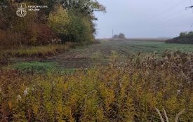 Суд повернув земельну ділянку в зоологічному заказнику «Людвище»