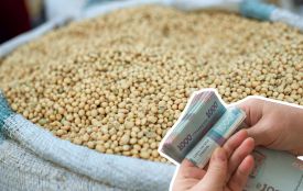 400 тисяч втратив фермер з Тернопільщини на продажі сої