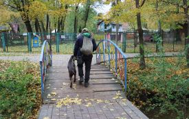 У парку «Сопільче» відремонтують міст біля звіринця: скільки планують витратити