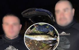 Дайвінг на Тернопільському ставі: затримали двох чоловіків за незаконну риболовлю