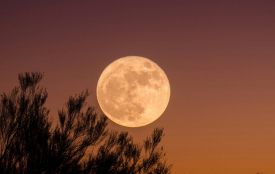 Українці 5 листопада зможуть побачити Бобровий супермісяць