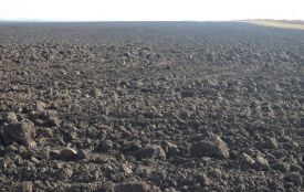 Монастириська громада хоче через суд повернути землю, бо підприємство не сплачувало оренду