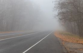 Синоптики попереджають про туман на Тернопільщині: погода на 6-8 листопада