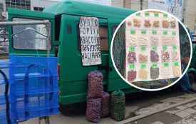 У Тернополі скуповують горіхи, квасолю та насіння: скільки платять на ринку
