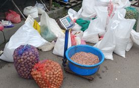 Скільки платять за горіхи та насіння у Тернополі та де можна здати. Дивіться відео!