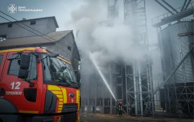 На Тернопільщині вогонь знищив 1,5 тонни кукурудзи
