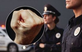 Напад на поліцейських на Тернопільщині: двом чоловікам загрожує до трьох років в'язниці