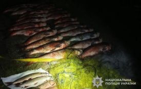 У Байківцях затримали тернополянина, який наловив 250 кілограм риби