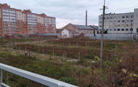 У суді вимагають скасувати рішення міськради про передачу в оренду землі на проспекті Бандери