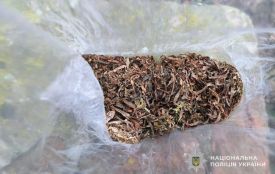 У Чортківському районі викрили два факти незаконного обігу наркотиків