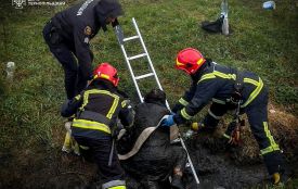 Жителька Бережан впала у двометрову канаву і не могла вибратись