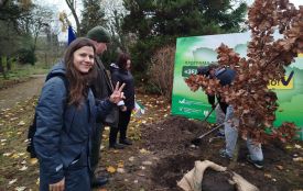 Мільярдне дерево висадили на Кременеччині в межах програми озеленення