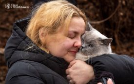 Життя посеред руїн: на третю добу після руйнування рятувальники визволили двох котиків