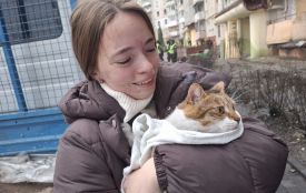 «Її тато з неба зберіг». На четверту добу після ворожого удару тернополянка знайшла свою кицю
