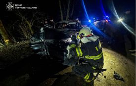 Водій в’їхав у дерево в Залозецькій громаді. Залучали рятувальників