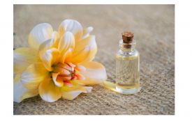 Брокард очима постійних клієнтів: як змінюється досвід покупців із роками (на правах реклами)