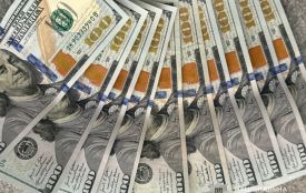 Жителька Тернопільщини втратила 1000 доларів через шахрайське фішингове посилання