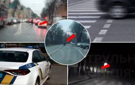 Удень та вночі перебігають дорогу в заборонених місцях: патрульні показали відео порушників